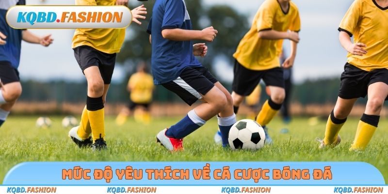Mức độ yêu thích về cá cược bóng đá