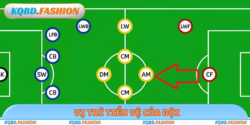 Vị trí tiền vệ của đội